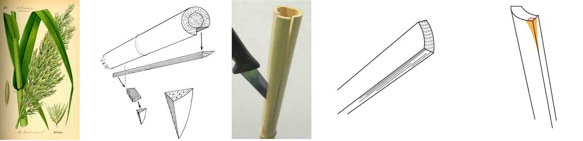Reed Stylus